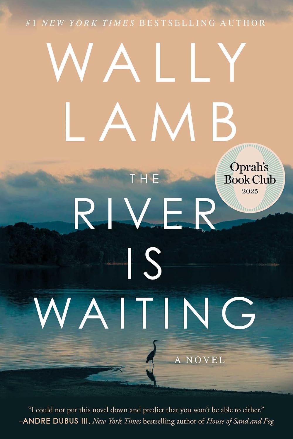 The River Is Waiting (Oprah's Book Club): A Novel