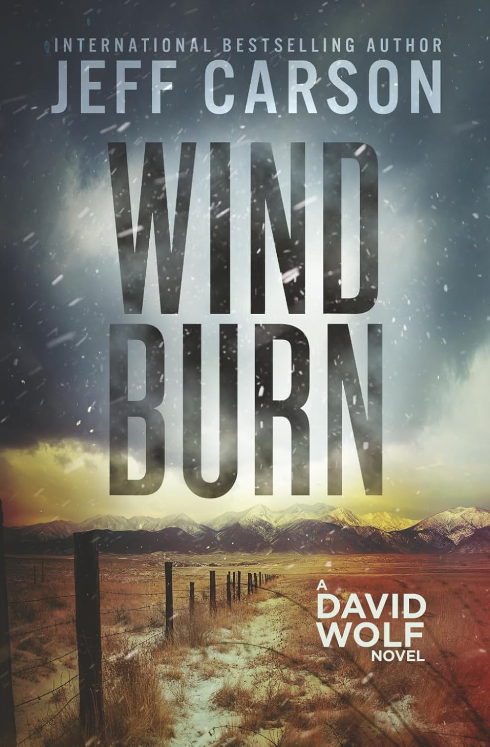Wind Burn (David Wolf Mystery Thriller Series)