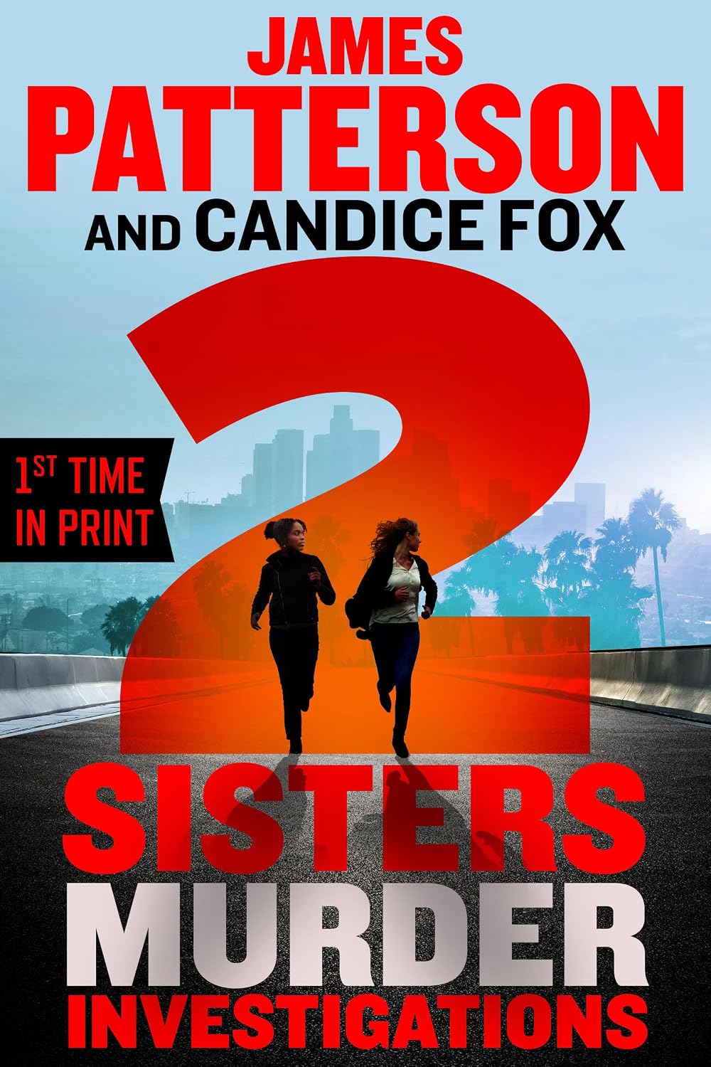2 Sisters Murder Investigations: A Thriller (A 2 Sisters Detective Agency Mystery, 2)