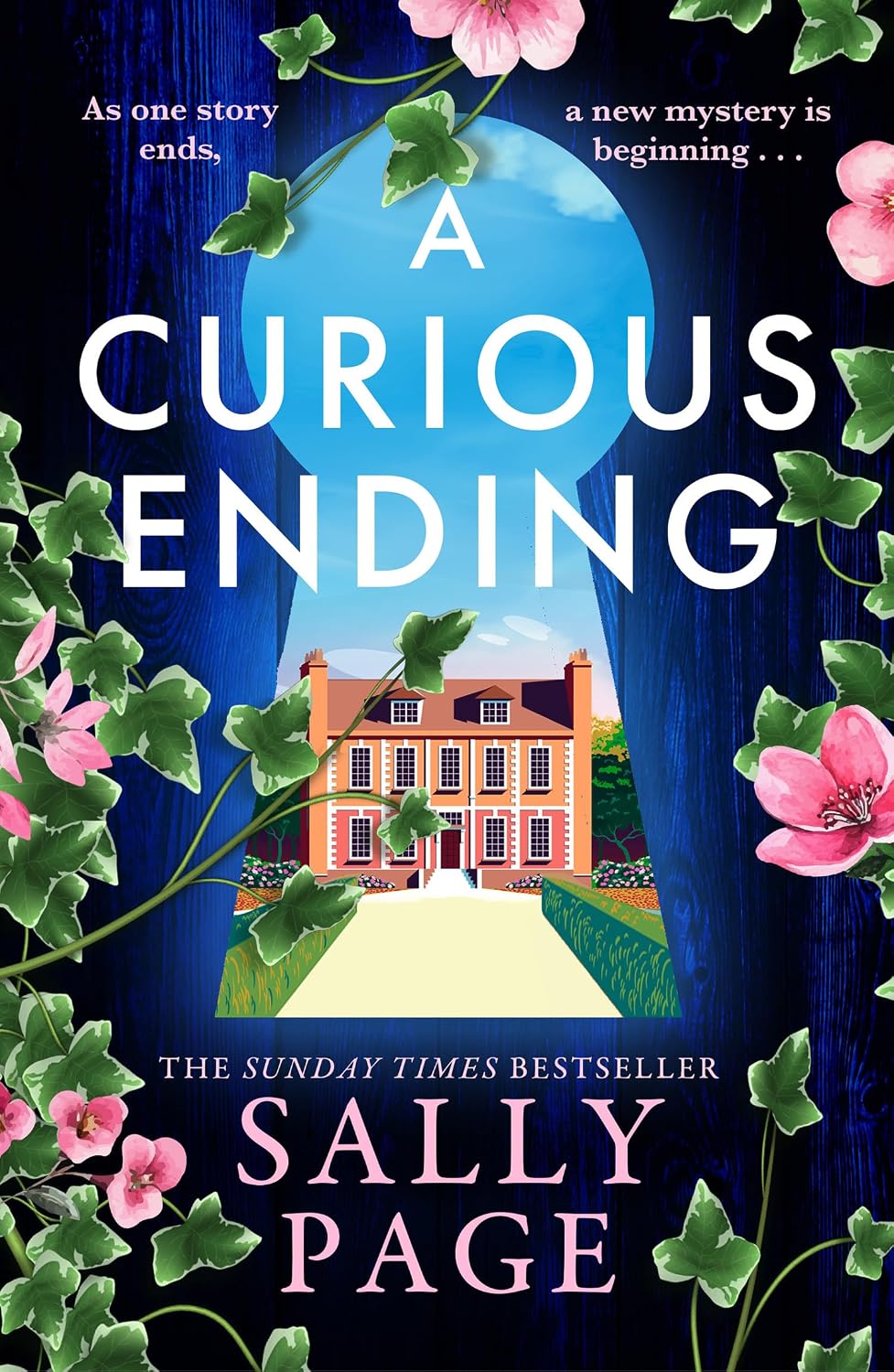 A Curious Ending: The brand new novel for 2026 from the Sunday Times bestselling author of The Keeper of Stories and The Book of Beginnings