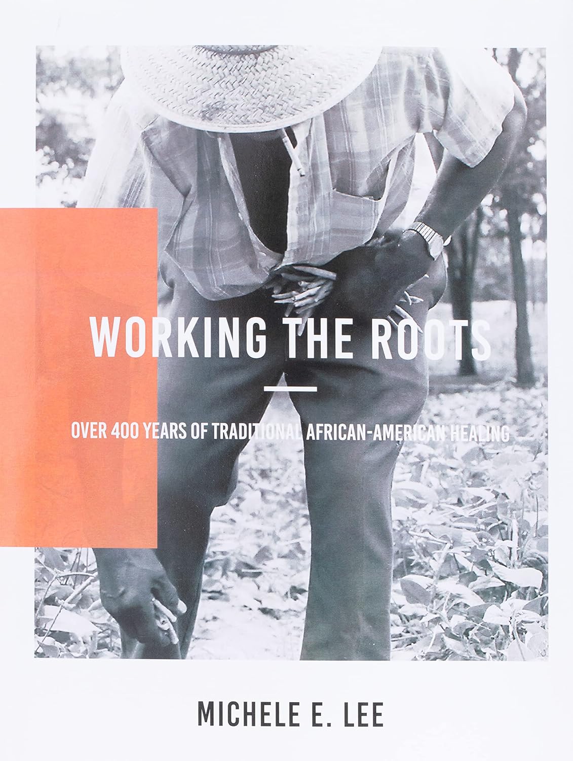 Working The Roots: Over 400 Years of Traditional African American Healing