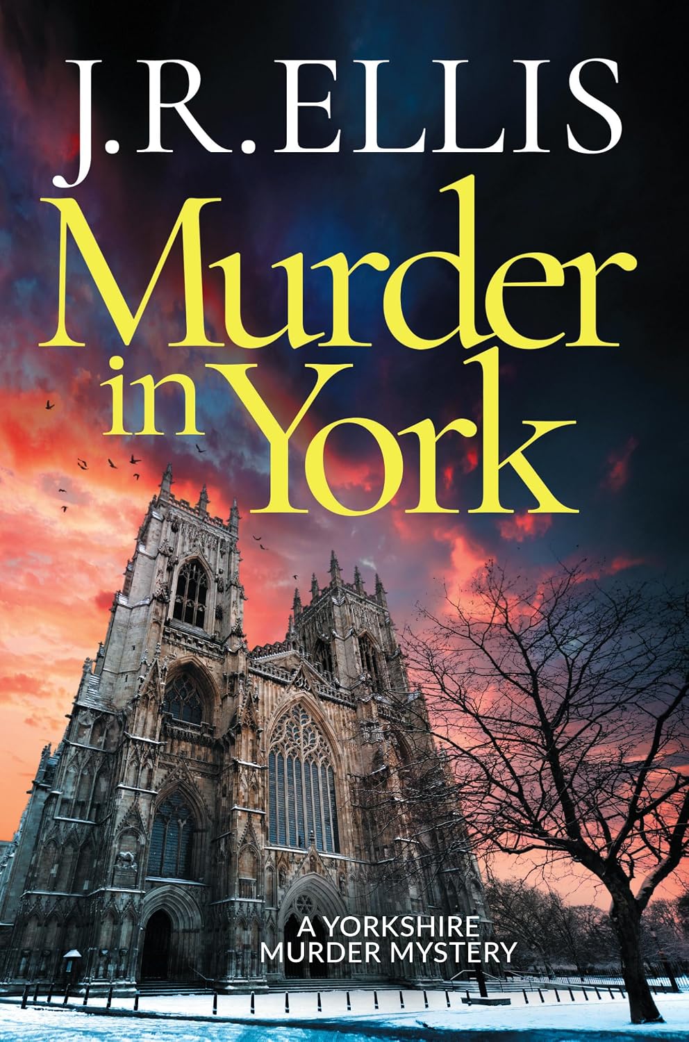 Murder in York (A Yorkshire Murder Mystery Book 12)