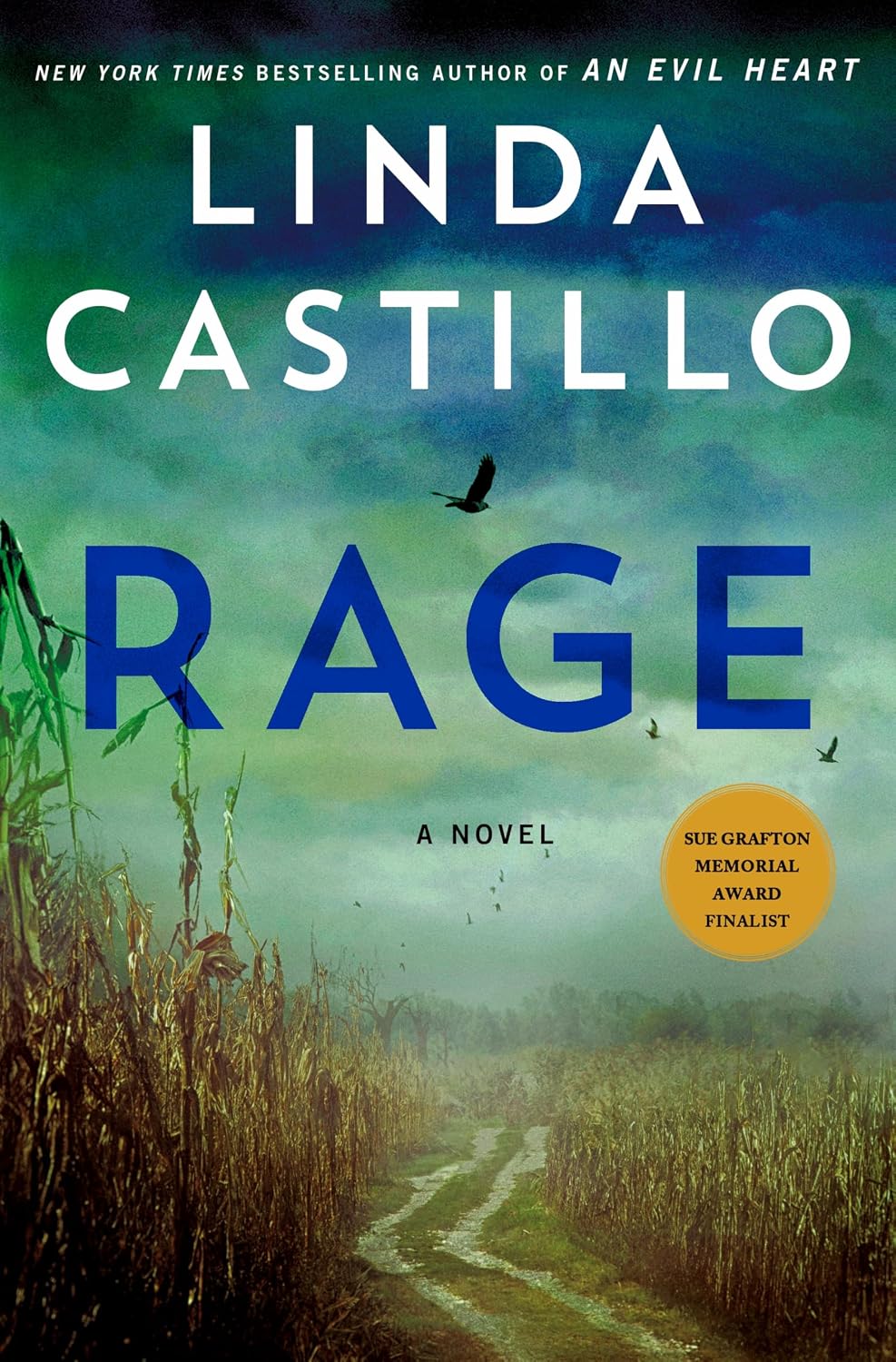 Rage: A Novel (Kate Burkholder, 17)