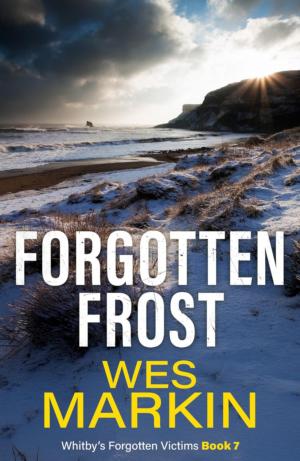 Forgotten Frost: Whitby's Forgotten Victims, Book 7