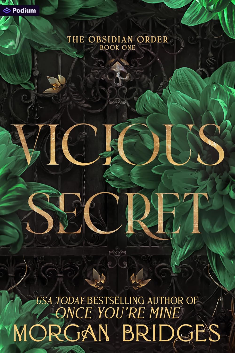 Vicious Secret: A Dark Romance (The Obsidian Order Book 1)