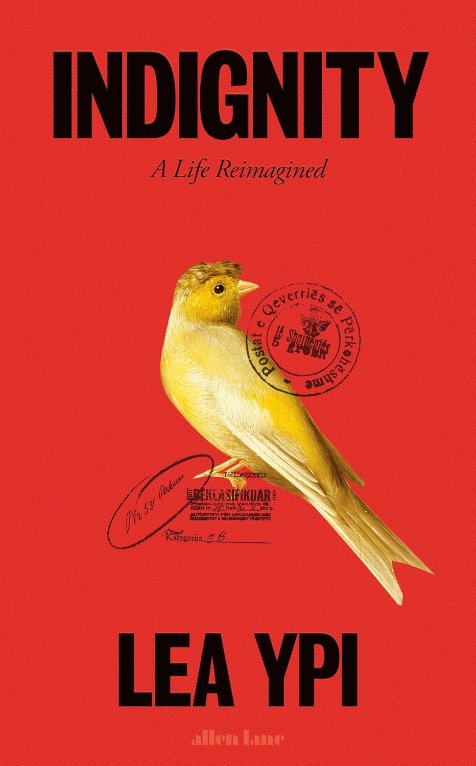 Indignity: A Life Reimagined