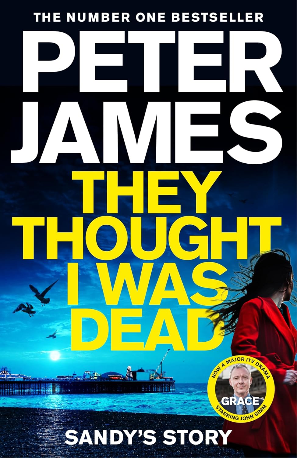 They Thought I Was Dead: Sandy's Story (Roy Grace, 20)