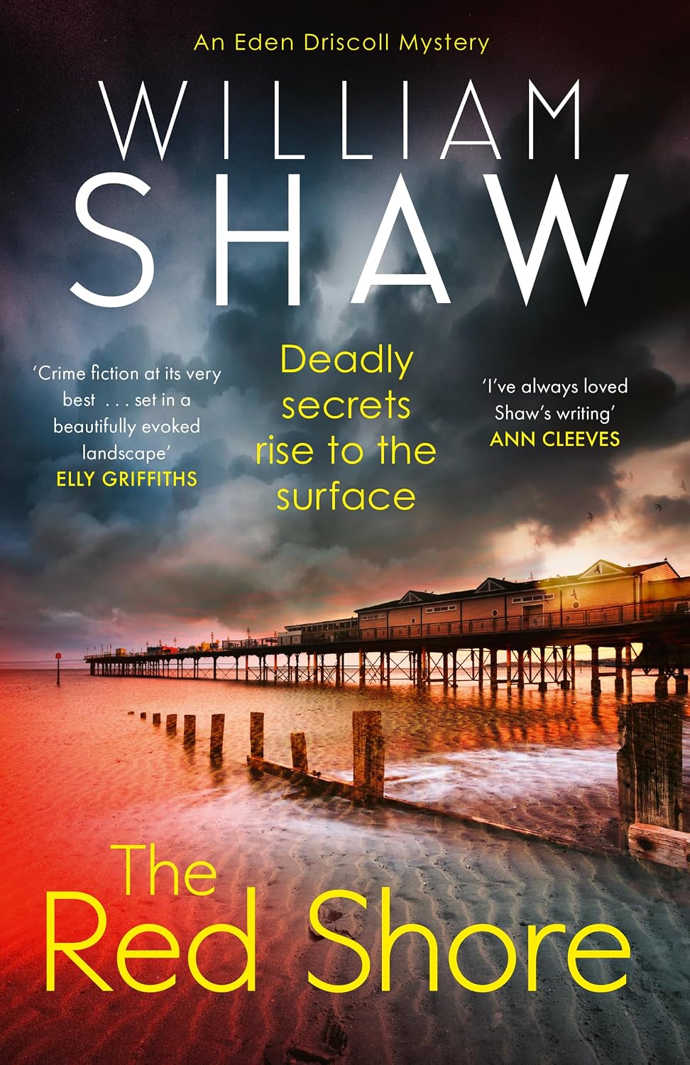 The Red Shore: The gripping new Devon-set crime thriller mystery featuring detective Eden Driscoll: Book 1