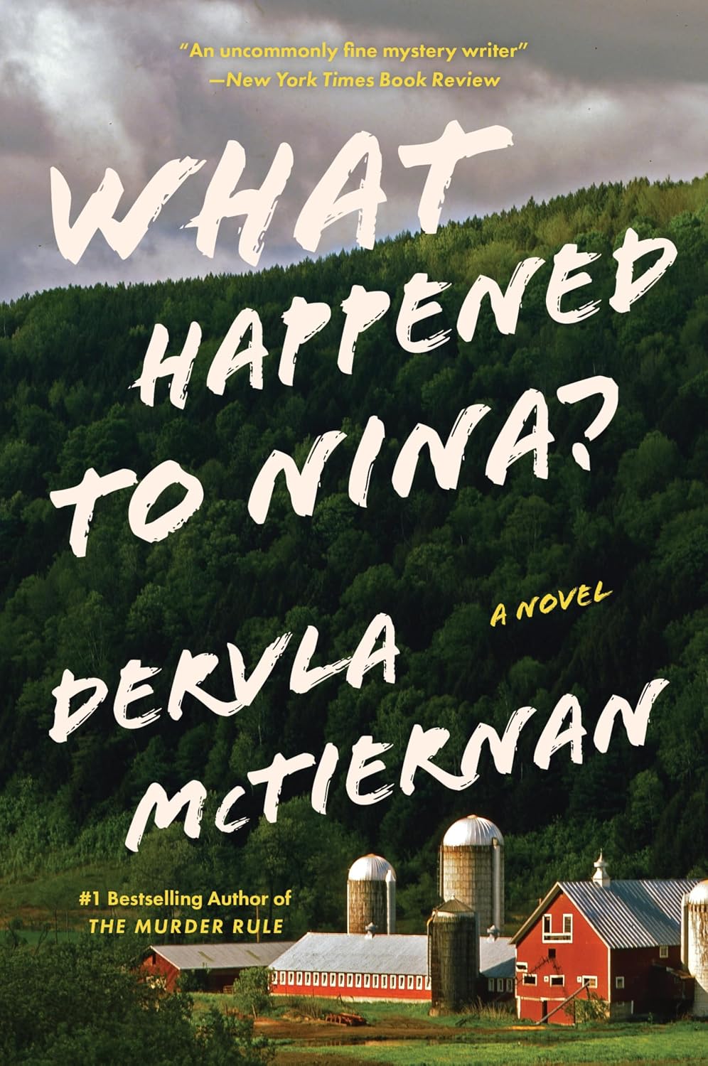 What Happened to Nina?: A Novel