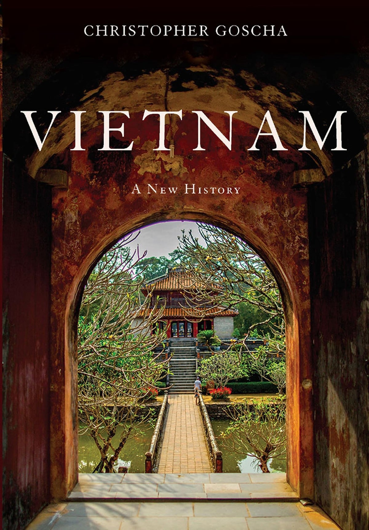 Vietnam: A New History
