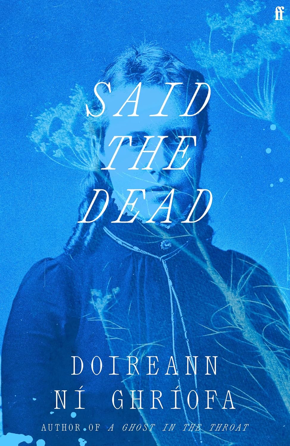 Said the Dead: The #1 Irish Times bestseller from the author of A Ghost in the Throat