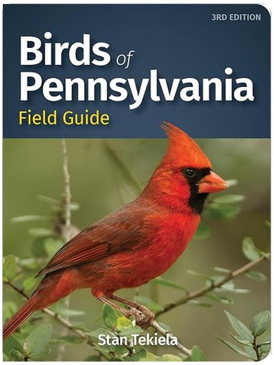 Birds of Pennsylvania Field Guide (Bird Identification Guides)