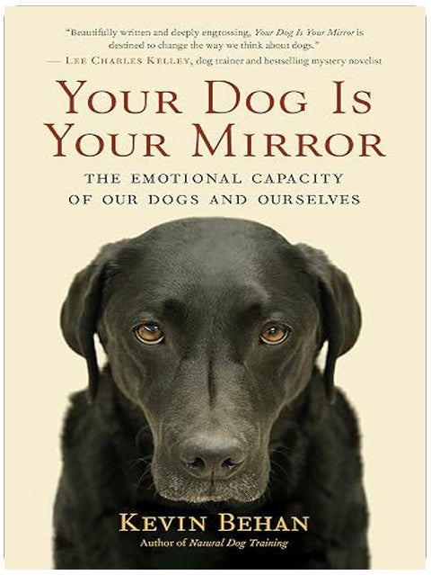 Your Dog Is Your Mirror: The Emotional Capacity of Our Dogs and Ourselves