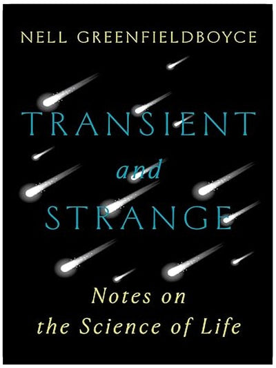 Transient and Strange: Notes on the Science of Life