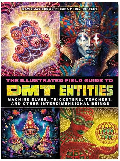 The Illustrated Field Guide to DMT Entities: Machine Elves, Tricksters, Teachers, and Other Interdimensional Beings