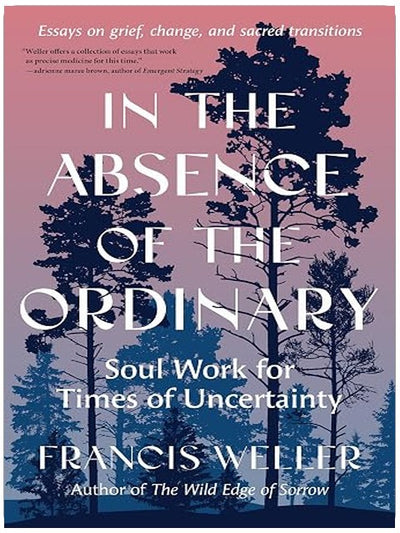 In the Absence of the Ordinary: Soul Work for Times of Uncertainty--Essays on grief, change, and sacred transitions