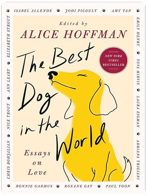 The Best Dog in the World: Essays on Love