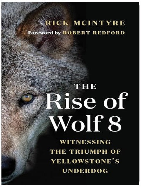 The Rise of Wolf 8: Witnessing the Triumph of Yellowstone's Underdog (The Alpha Wolves of Yellowstone Book 1)