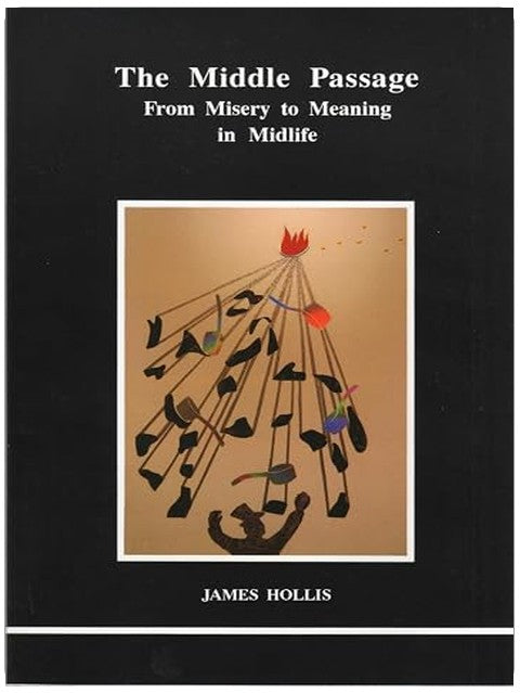 The Middle Passage: From Misery to Meaning in Midlife (STUDIES IN JUNGIAN PSYCHOLOGY BY JUNGIAN ANALYSTS)