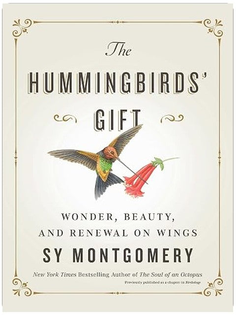 The Hummingbirds' Gift: Wonder, Beauty, and Renewal on Wings