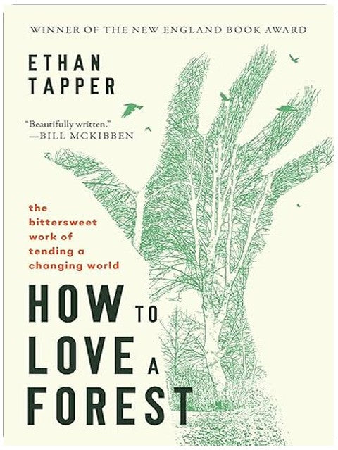 How to Love a Forest: The Bittersweet Work of Tending a Changing World