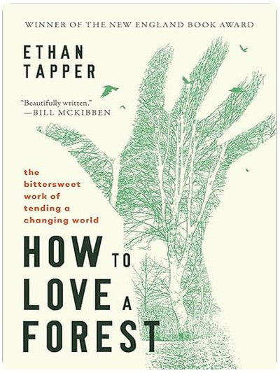 How to Love a Forest: The Bittersweet Work of Tending a Changing World