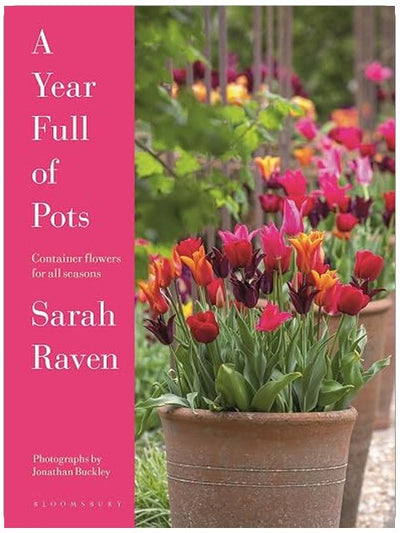 A Year Full of Pots: Container Flowers for All Seasons